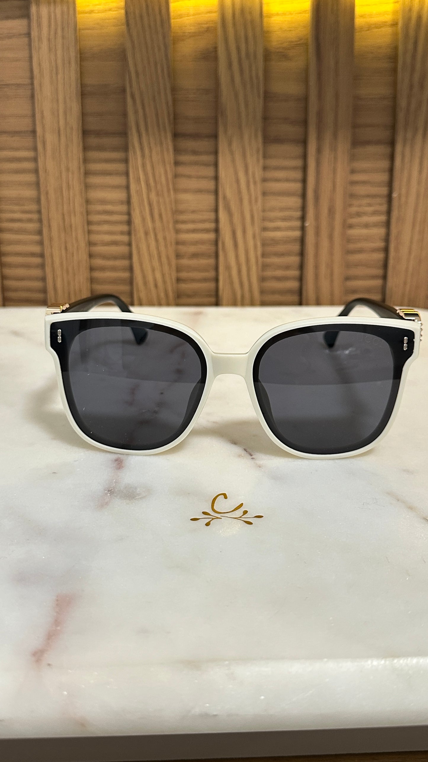 Sunglasses Ref 132
